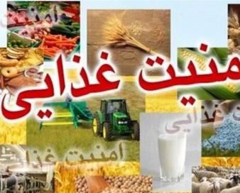 امنیت غذایی در نظام قدیم توزیع یارانه بیشترین ضربه را متحمل شد/نظام غذایی وابسته واردات بود