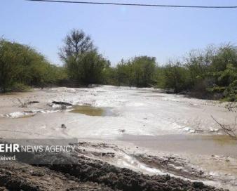 فرهنگ استفاده از بیمه حوادث در کوثر و خلخال نهادینه شود