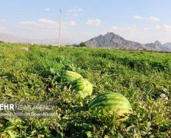 افزایش حداقل ۱۰۰ درصدی تعرفه های صادراتی محصولات آب بر