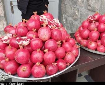 برگزاری جشنواره ملی انار در بجستان/ از پیشنهاد تشکیل اتحادیه انارکاران تا راه اندازی سردخانه