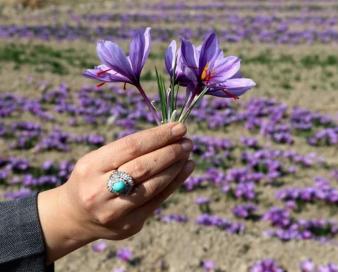 زعفران و سکه در صدر معاملات اوراق گواهی کالایی