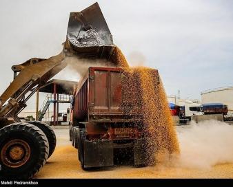 رئیس اسبق سازمان توسعه تجارت: واردات کالاهای اساسی در یک مقطع کوتاه باعث بر هم خوردن بازار ارز می‌شود