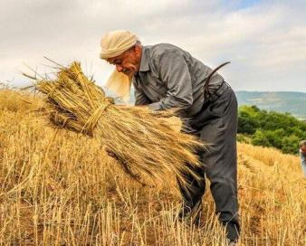 مشارکت مالی صندوق تعاون، فعالیت کشاورزان را تسهیل می کند