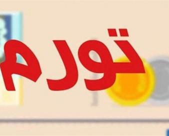 «پدیدارشناسی تورم» -1 | پاسخ به ده‌ها سوال درباره تورم در پرونده تسنیم