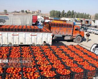 مسئله غمبار صادرات/ مازندران از هاب صادراتی محروم است