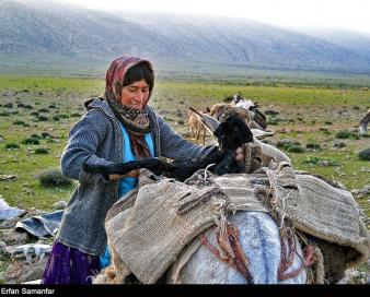 بهره‌مندی 9 هزار و553 زن سرپرست خانوار در خراسان رضوی از بیمه اجتماعی