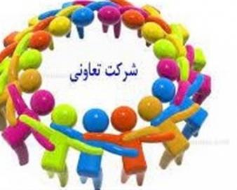 شناسایی تعاونی های صادرات محور در دستور کار