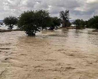 صنعت معدن و تجارت سیستان و بلوچستان با تمام توان پای کار سیلزدگان است