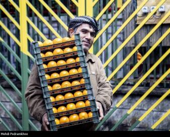 شناسایی 3913 کاسب متخلف در کهگیلویه و بویراحمد