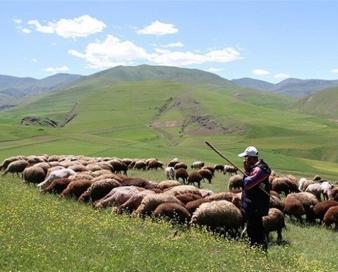 ثبت‌نام بیمه رایگان مادران غیرشاغل روستایی و عشایر در اصفهان