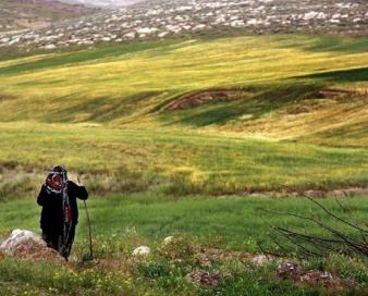 عضویت ۳ هزار روستایی و عشایر همدانی در صندوق بیمه اجتماعی 