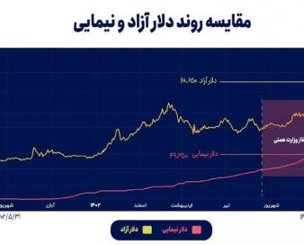 افزایش قیمت دلار، نتیجه تحریک نرخ نیما