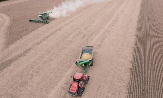 تیر ترامپ به مصرفکنندگان آمریکا خورد