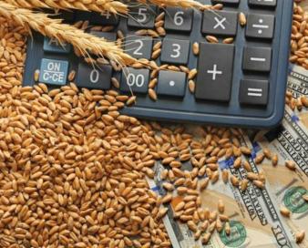 اعلام زودهنگام واردات گندم؛ اشتباه استراتژیک